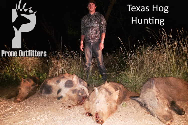 Link to Texas Hog Hunting information