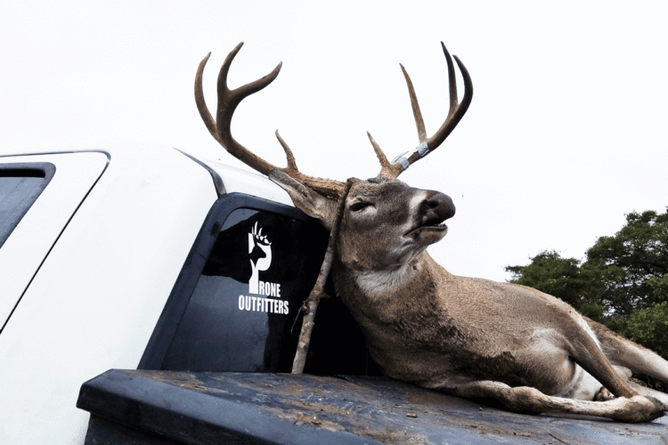 Link to Texas Whitetail Hunting information